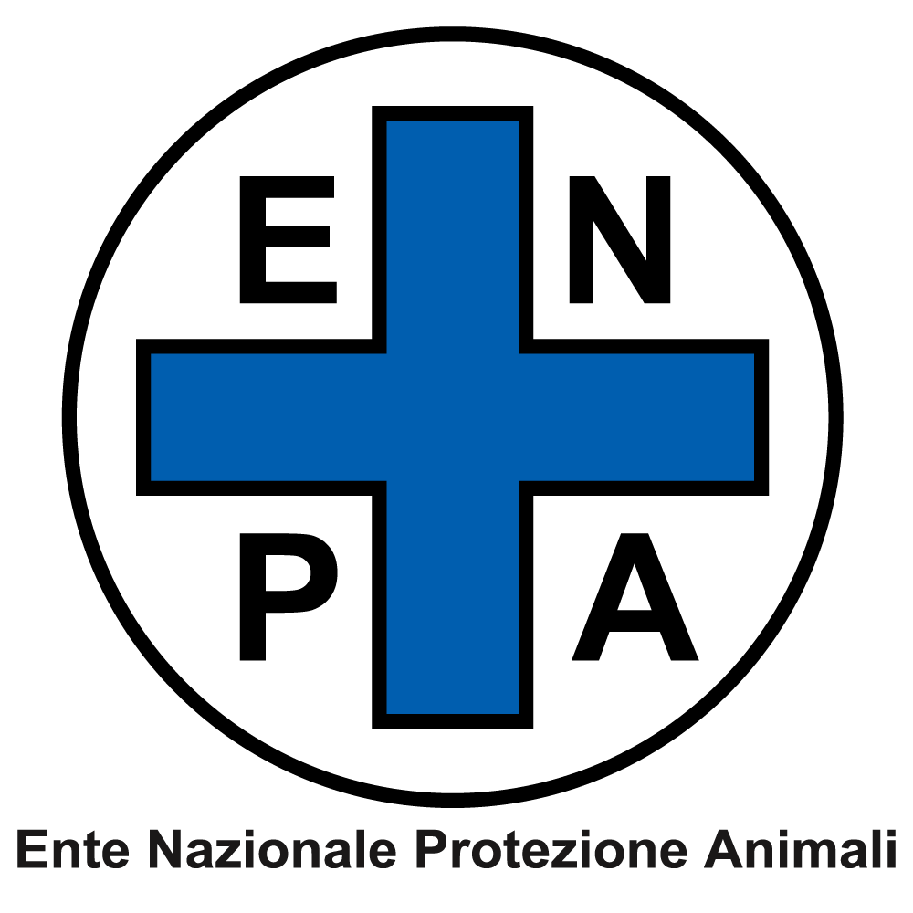 Image link
